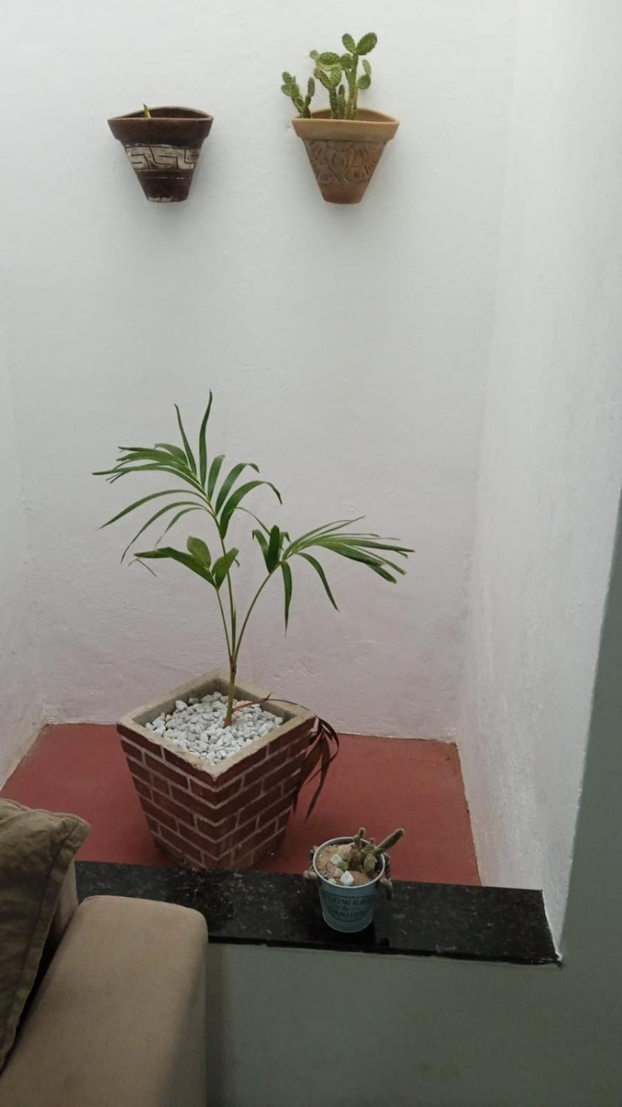 Villa Casa Md Camocim Exterior foto